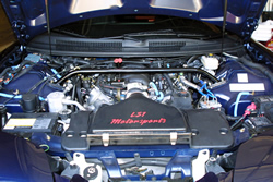 click here for full size picture