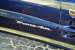 click here for full size picture