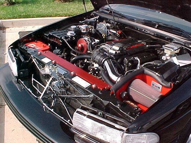 click here for full size picture